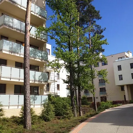 Aquamarina - Visitopl